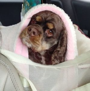 Meet your Posher, Heather